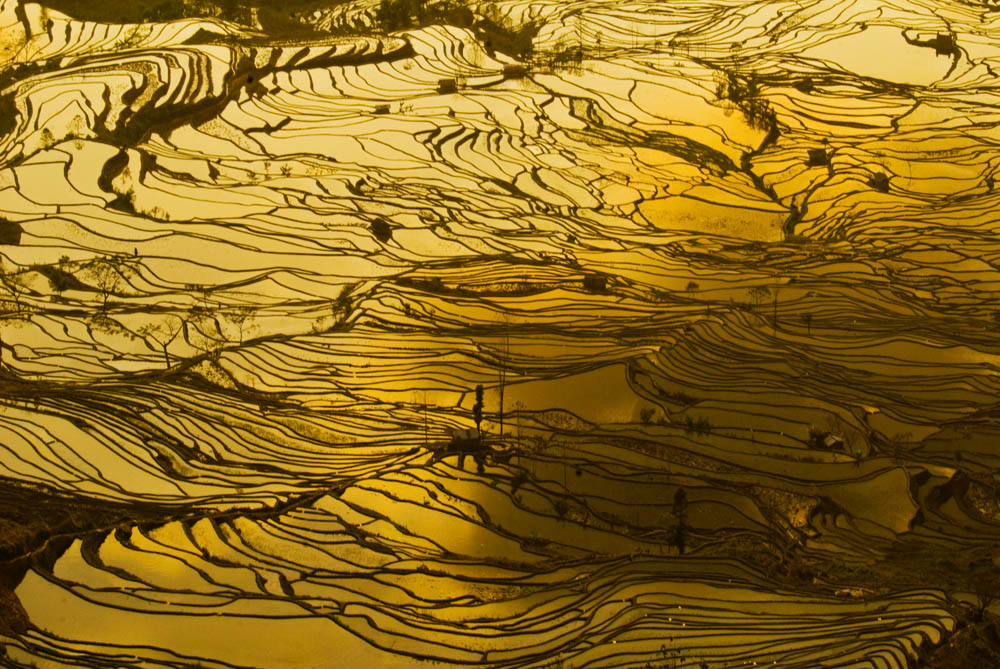 猴子、猴王云南采风--风光篇