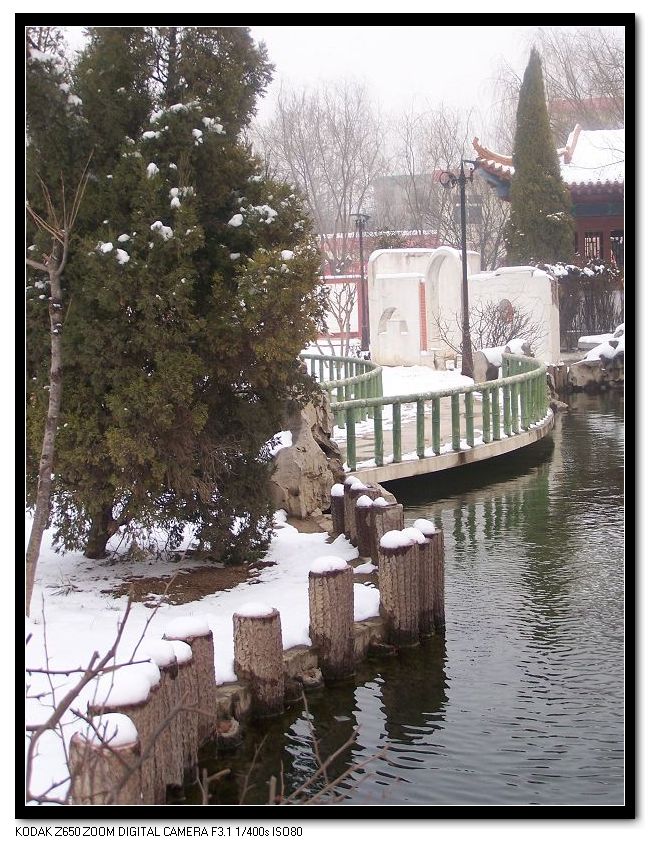 雪后漫步