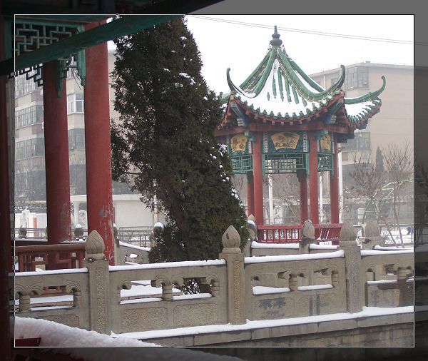 雪后漫步