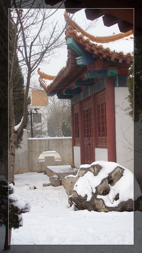雪后漫步