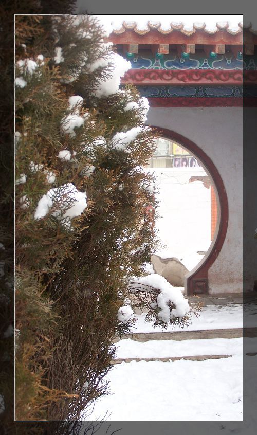 雪后漫步