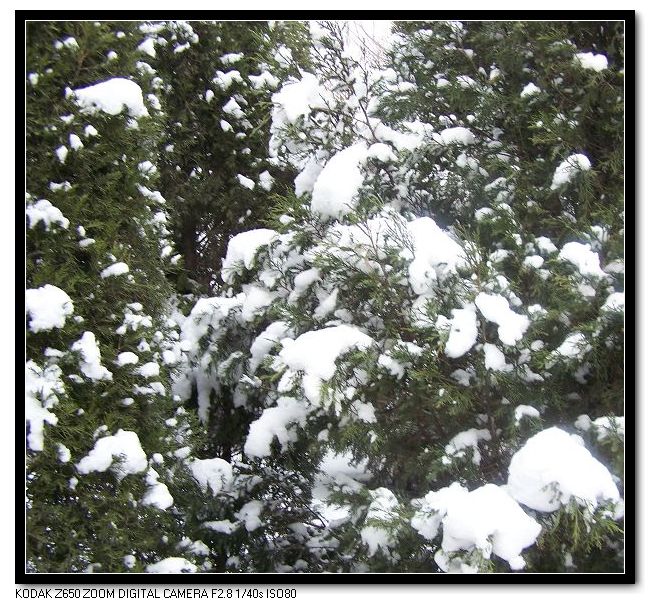 雪后漫步