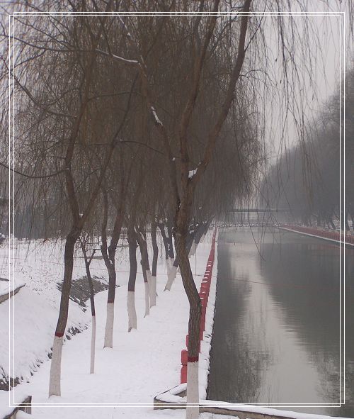 雪后漫步