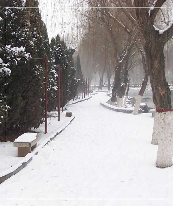 雪后漫步
