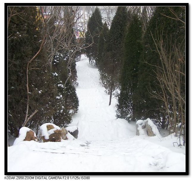雪后漫步