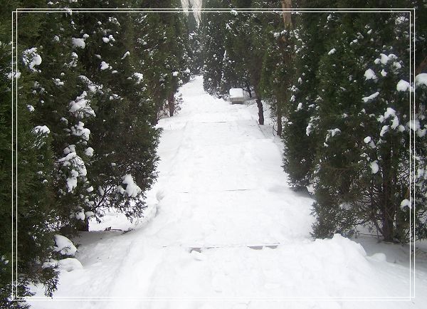 雪后漫步