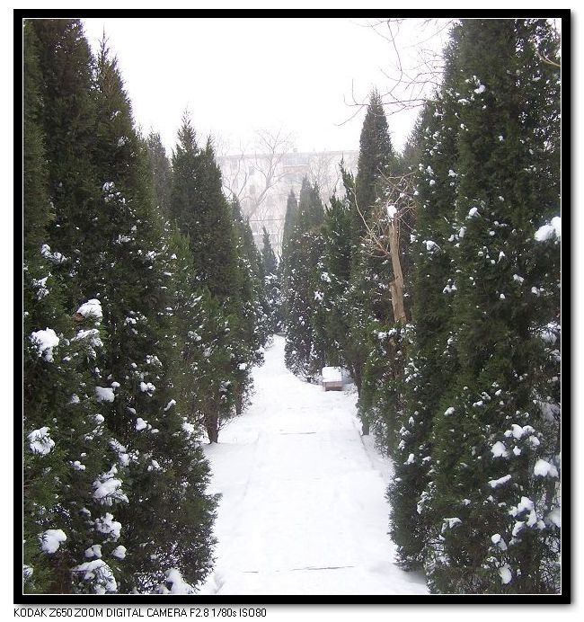 雪后漫步