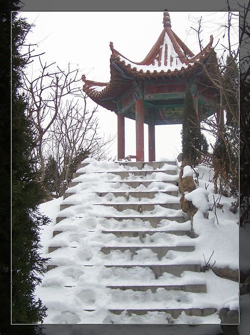 雪后漫步