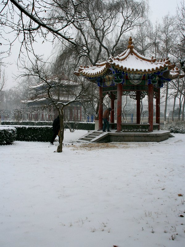 下雪了,都是雪的片子