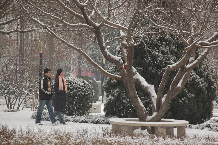 雪中即景