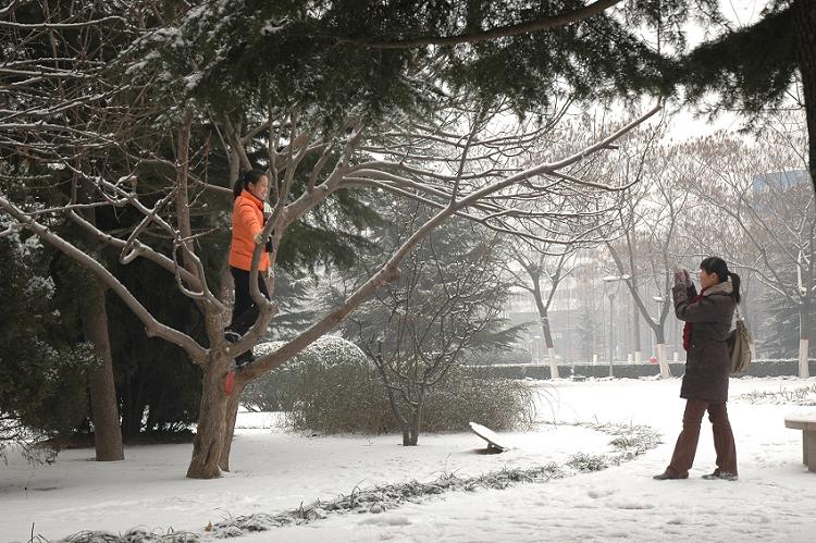 雪中即景