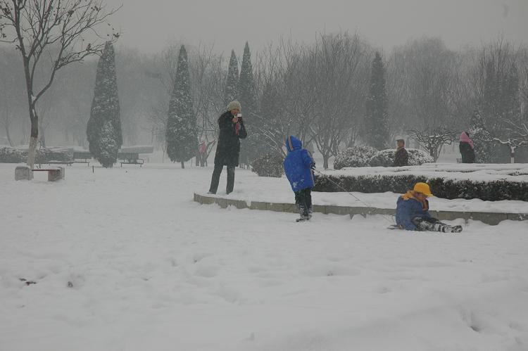 雪中即景