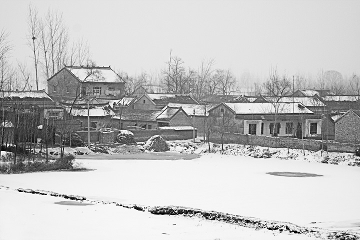 雪中小景