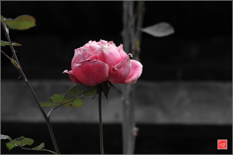 花落花开无间断~~~~