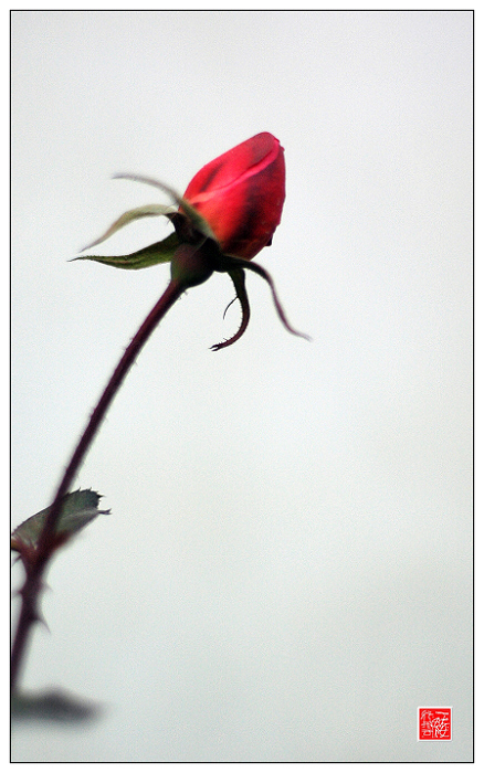 花落花开无间断~~~~