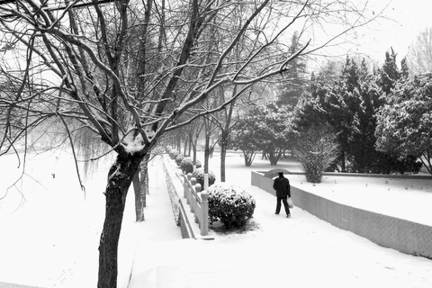 雪天的马颊河