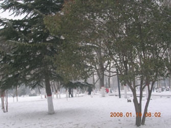 烟雾迷蒙----雪景