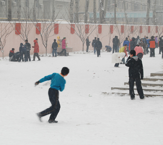 赏雪