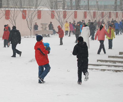 赏雪