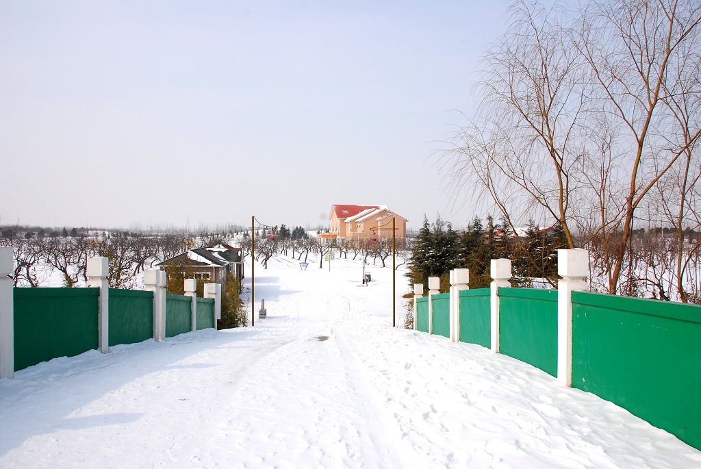 濮上雪景
