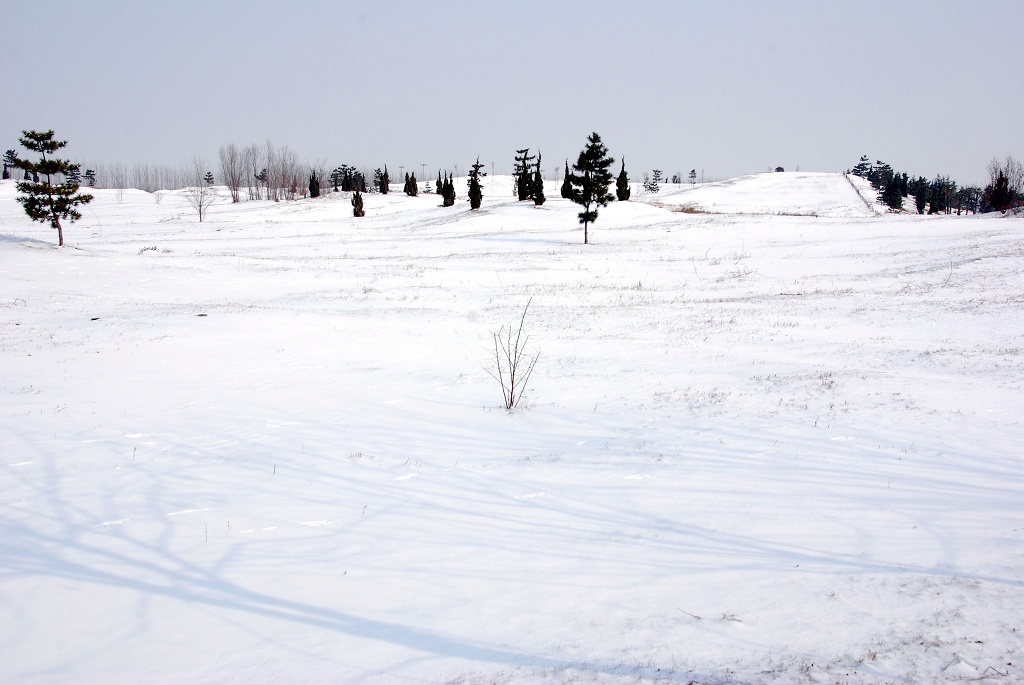 濮上雪景