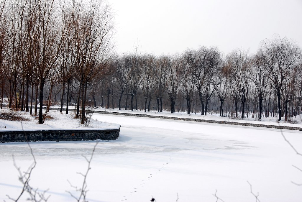 濮上雪景