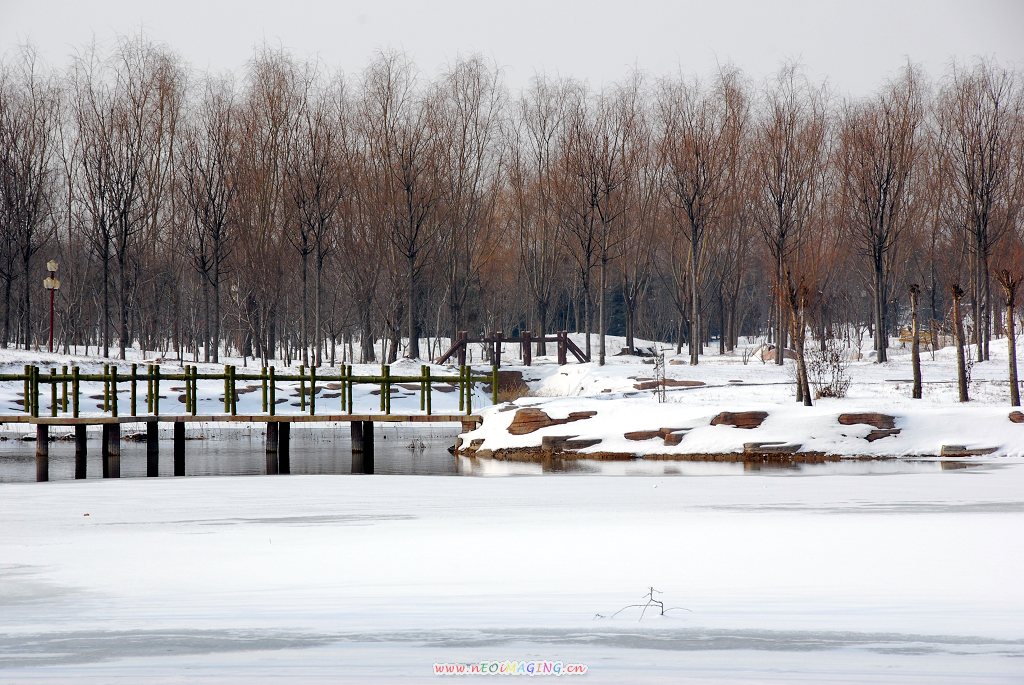 濮上雪景