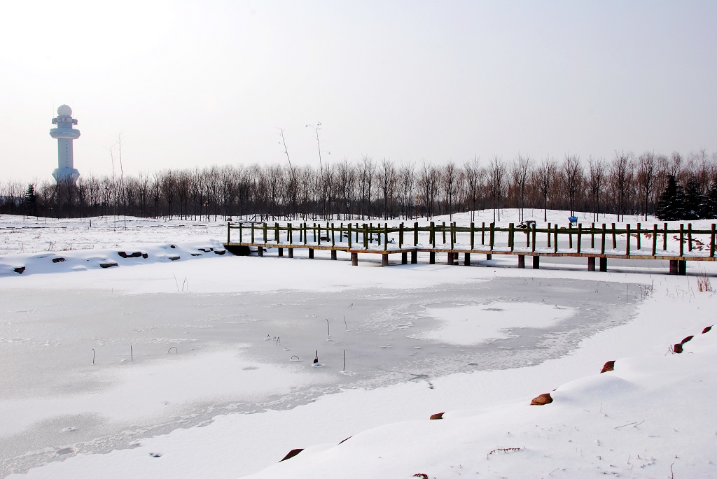 濮上雪景