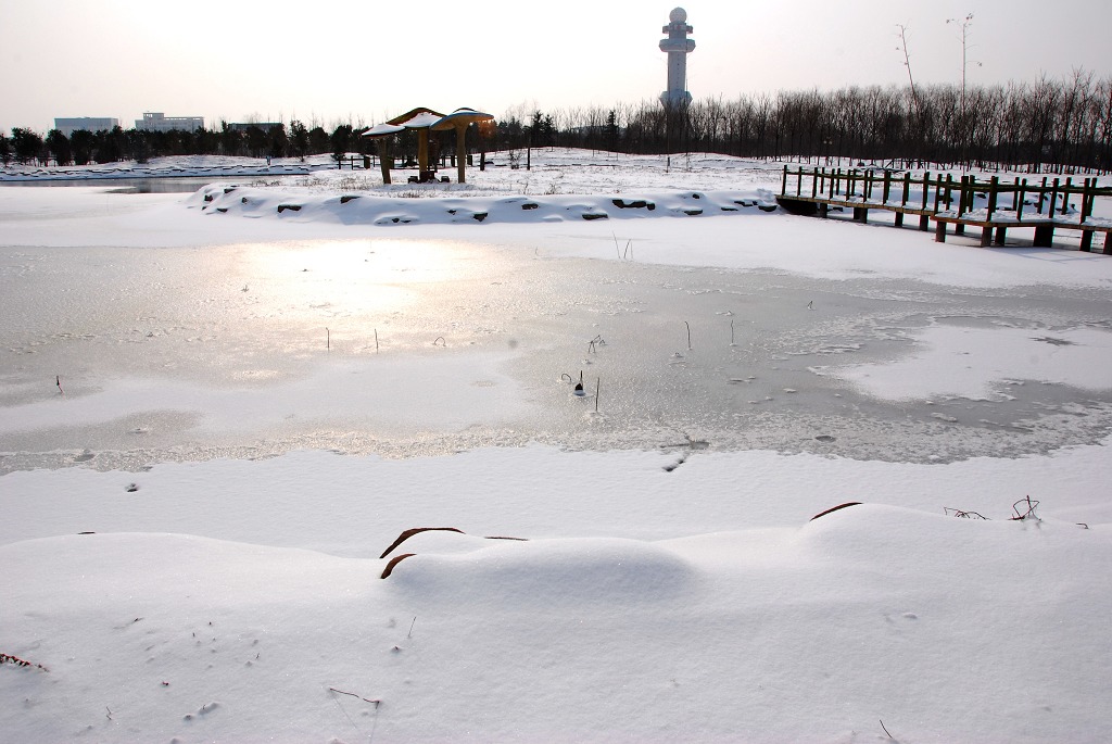 濮上雪景