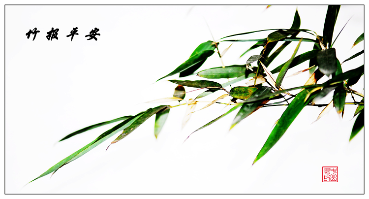 竹