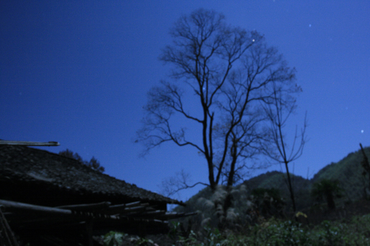 月光下的小山村