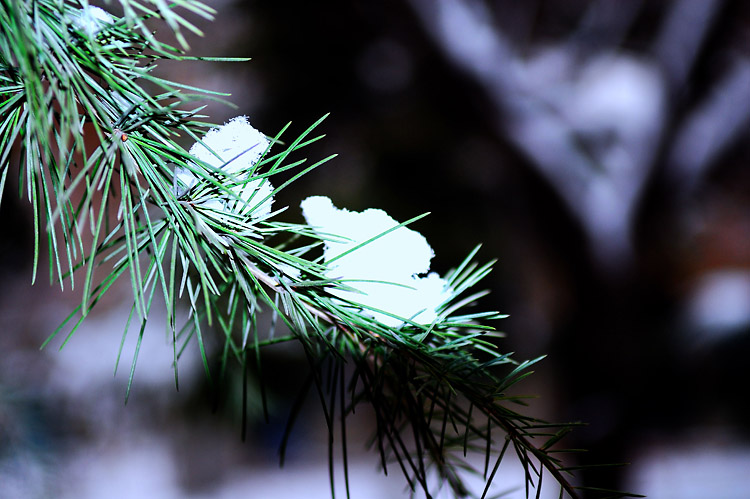 瑞雪兆和谐
