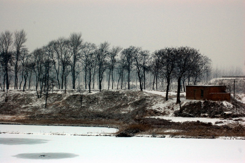 雪中小景