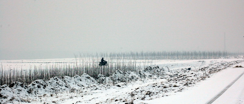 雪中小景
