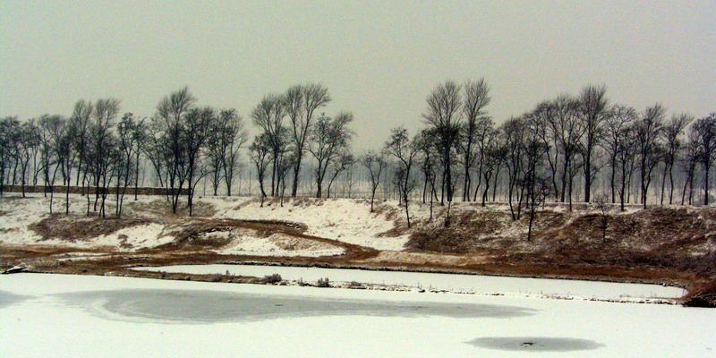 雪中小景