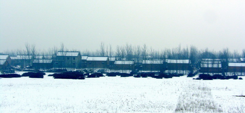 雪中小景
