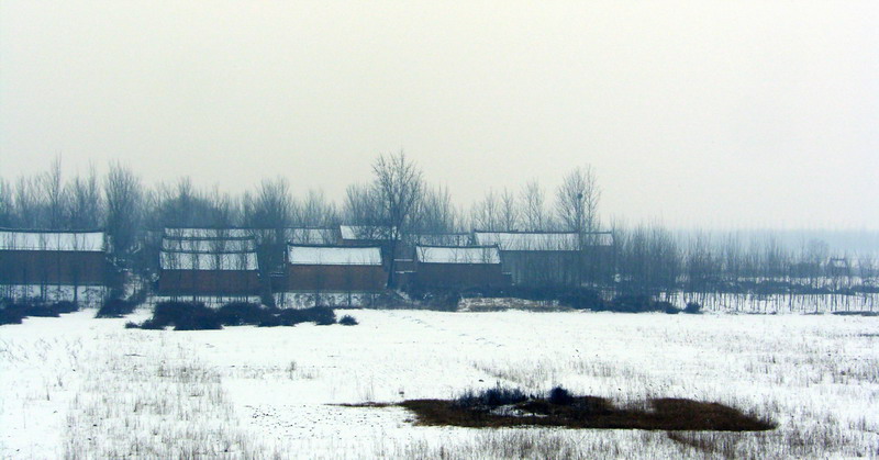 雪中小景