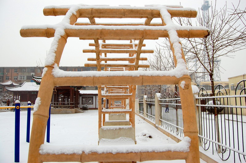 雪中小景