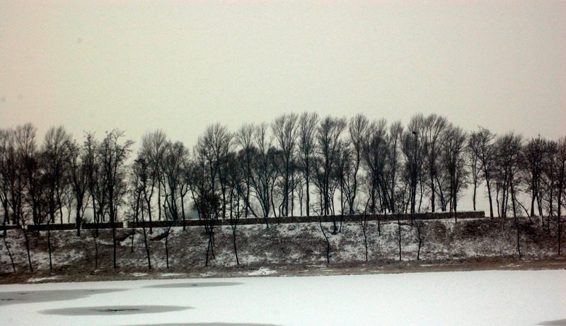 雪中小景