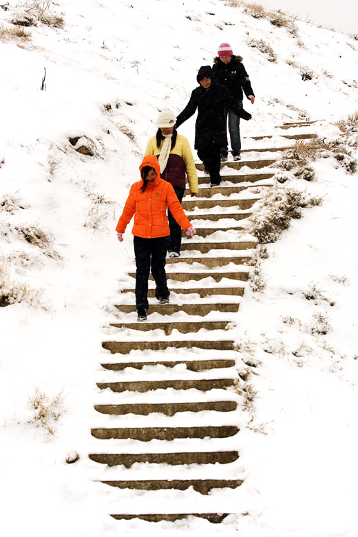 再回味以下 雪中片