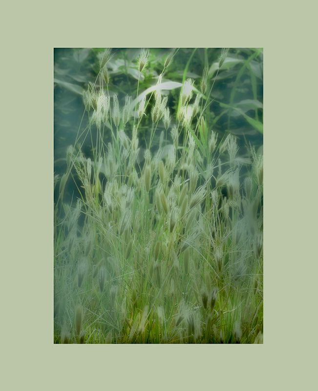 小品-----视觉练习-----秋的季节