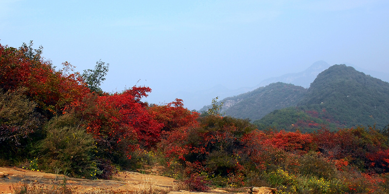 [原创]巍巍嵩山,层林尽染,万山红遍。