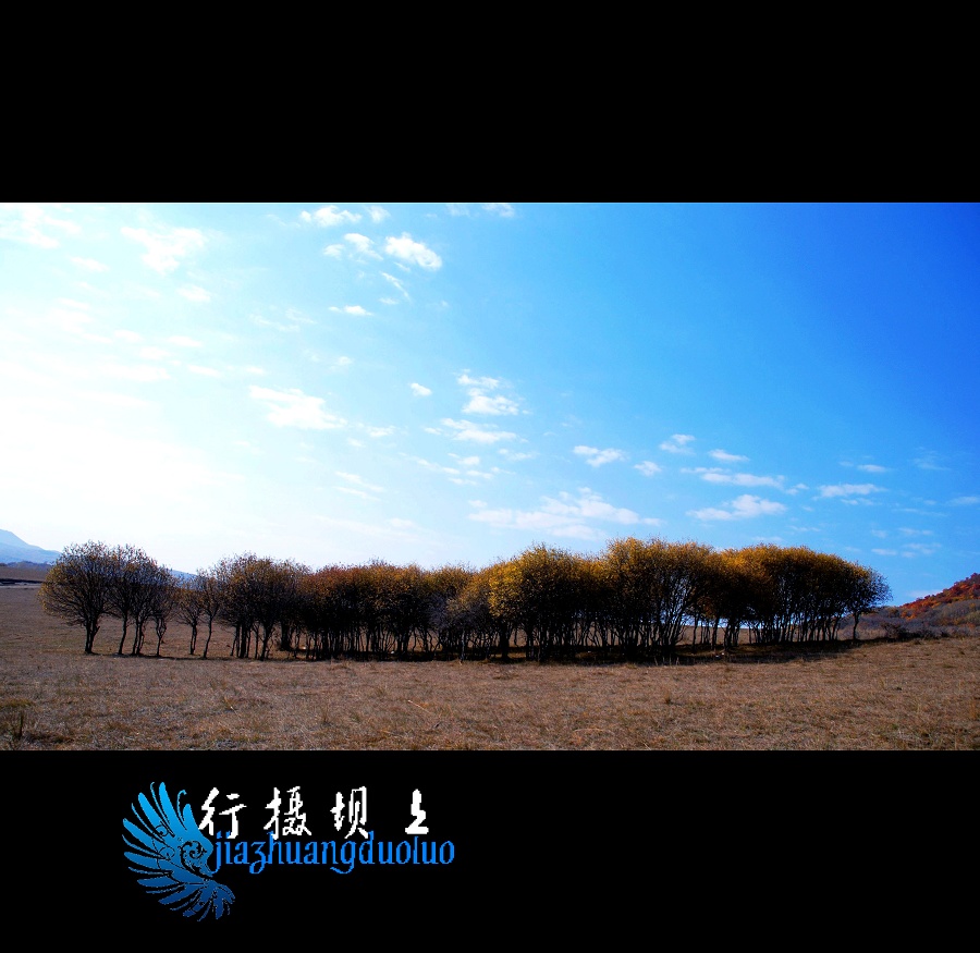 秋行坝上