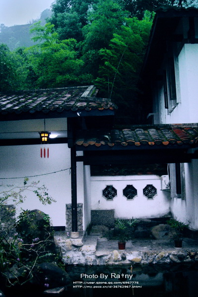 一点儿小景致