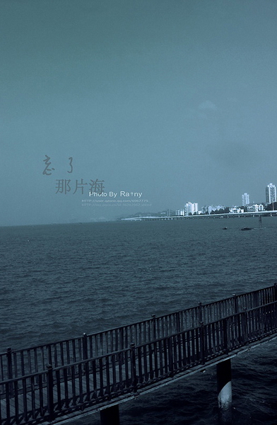 一点儿小景致
