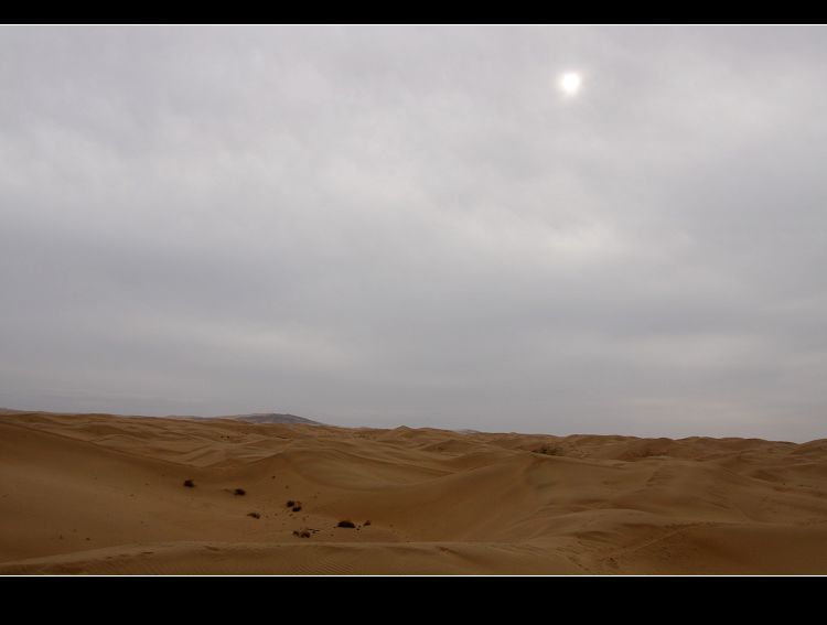 [原创]       库不其沙漠