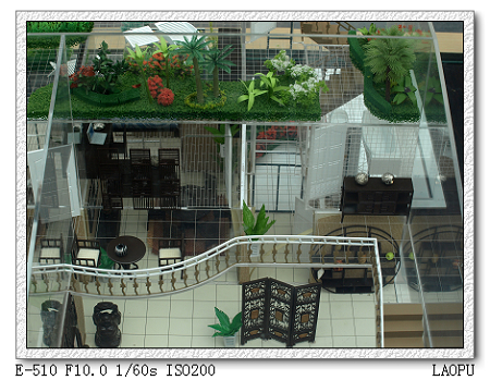 2008龙城购房节掠影