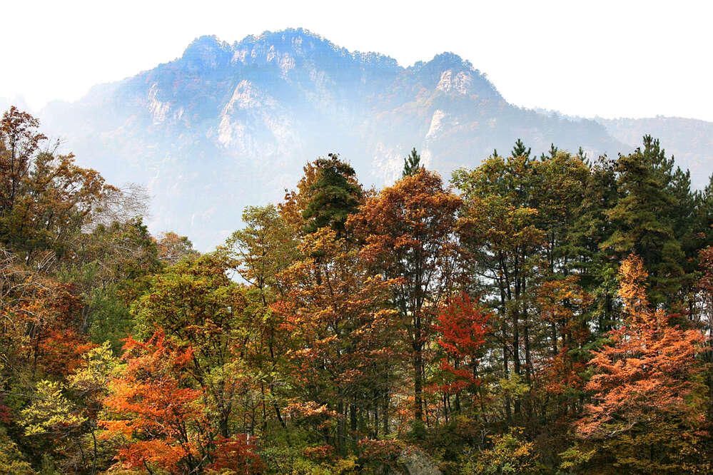 栾川龙峪湾秋色（组）