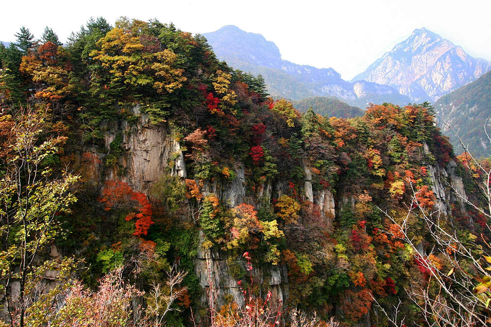 栾川龙峪湾秋色（组）