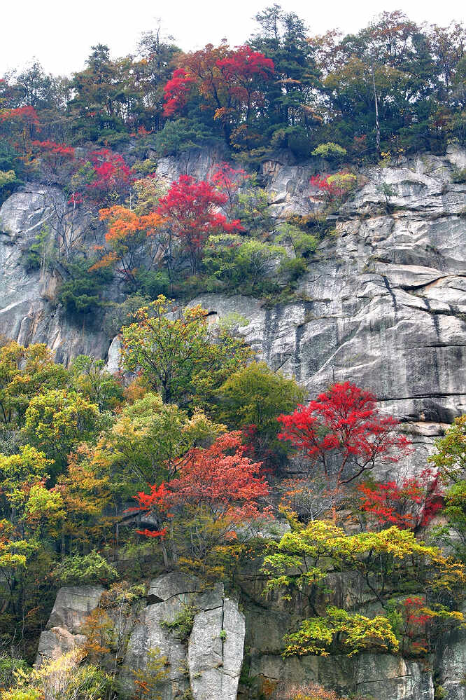 栾川龙峪湾秋色（组）